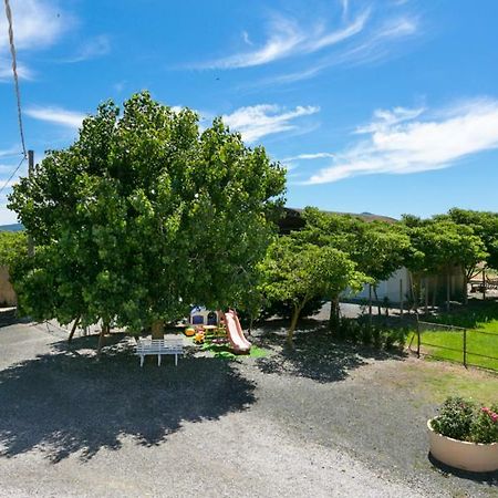 Agriturismo Case Nuove Castellina Marittima Exteriör bild