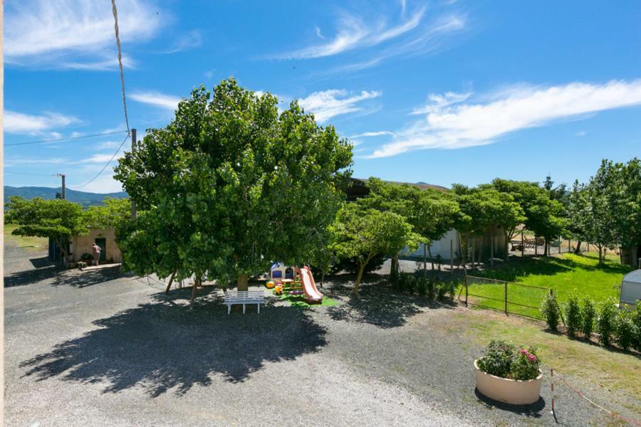Agriturismo Case Nuove Castellina Marittima Exteriör bild